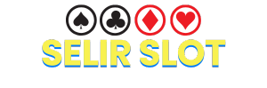 Logo SELIRSLOT